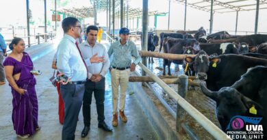 බොරලන්ද රජයේ සත්ව ගොවිපල සංවර්ධනය කෙරේ