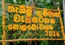 “Ceylon King Coconut Village – 250”