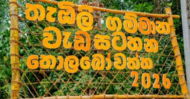 “Ceylon King Coconut Village – 250”